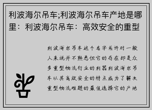 利波海尔吊车;利波海尔吊车产地是哪里：利波海尔吊车：高效安全的重型物流解决方案